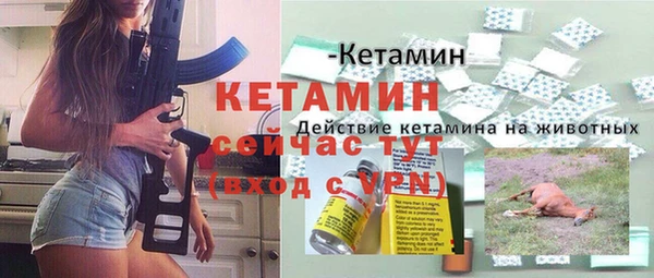 дживик Арсеньев