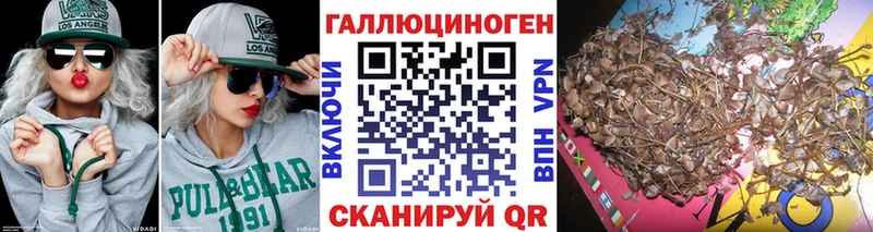 Галлюциногенные грибы MAGIC MUSHROOMS  Михайловск 