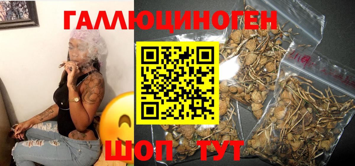 Псилоцибиновые грибы Psilocybe  Вход с VPN  Псилоцибиновые грибы ЛСД  Михайловск 